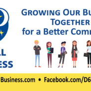 D6 Small Business